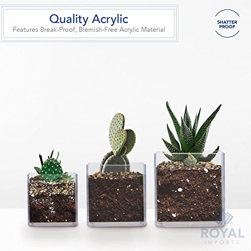 Royal Imports Acrylic Square Vases for Centerpieces Non-Breakable 5" Clear - size: 5"x5"