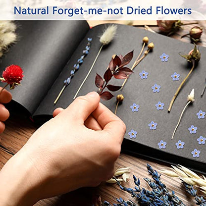 Nuanchu 50 Pieces Forget Me Not Dried Flowers Natural Real Pressed, Blue | for Resin Jewelry Making, Nail Art Decorations, Candle Card Crafts, DIY Ornaments, Pressed Flower Projects, Botanical