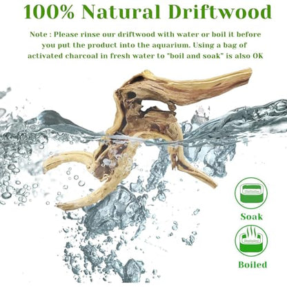 Tfwadmx Natural Driftwood for Aquarium, 11-13 inch Reptile Branches Terrarium Wood Aquarium Trunk Driftwood Tree Fish Tank Log Decoration Pack of 2 - size: Spiderwood（7-13 inch pack of 2）