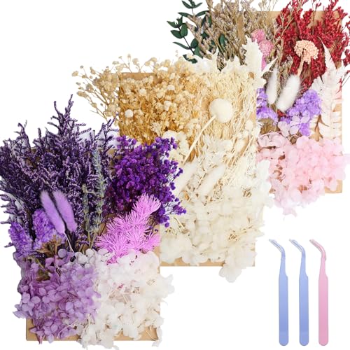 3 Pack Real Dried Flowers for Resin, Natural Pressed Flowers | Natural mixed dried flower pack with tweezers for DIY resin,crafts & candles (Multicolor Purple White). - color: Multicolor Purple White