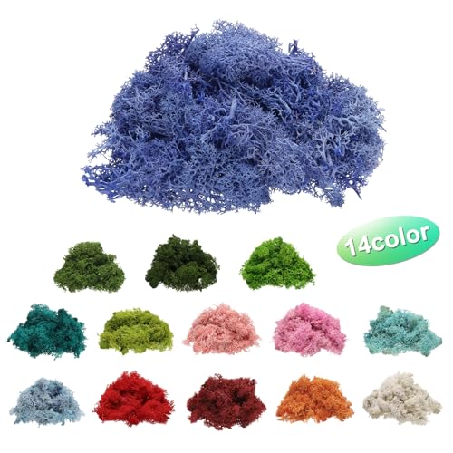 Preserved Reindeer Moss, 4 OZ Fake Moss for Crafts Artificial Dried Moss for Decoration, Craft, Terrariums, Potted Plants, Centerpieces Fairy Gardens (Purple)