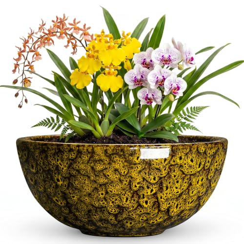Bowl Planter, 12 Inch Ceramic Bonsai Planter, Yellow Leopard | Round Succulent Pots with Drainage Hole, Flower Bowl for Indoor Plants Outdoor, Kitchen Decor, Gifts for Plant Lovers - color: Yellow Leopard-1, size: 12 Inch