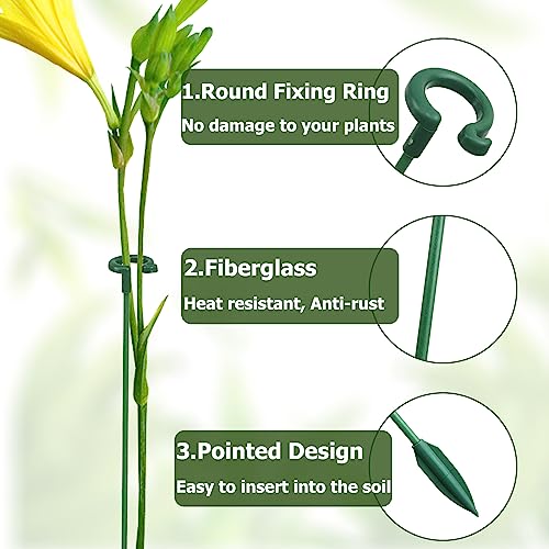 Pack of 30 Small Plant Stakes for Indoor Plants 3 Size - size: A Set(6.7/10.7/14.6 in)