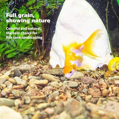 WDEFUN Aquarium Gravel River Rock, Natural Polished Mixed Colorful Stones, 10 LBS, for Plant Aquariums, Landscaping, Vase Filler