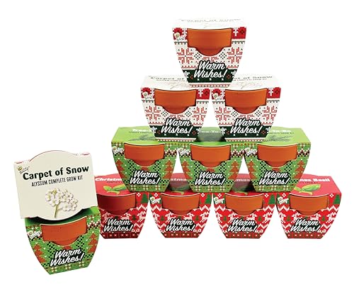 Buzzy Seeds Sweater Pattern Holiday Grow Kit 12-Pack - Mini Terracotta Pot Grow Set - Complete Indoor/Outdoor Gardening Kit with Seeds, Coconut Husk Growing Medium & Genuine Pots - 100% Grow Guarantee - color: Holiday Sweater Pattern