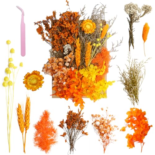 Real Dried Flowers for Resin, Natural Pressed Flowers (Orange) | Natural mixed dried flower pack with tweezers for DIY resin,crafts& candles. - color: Orange