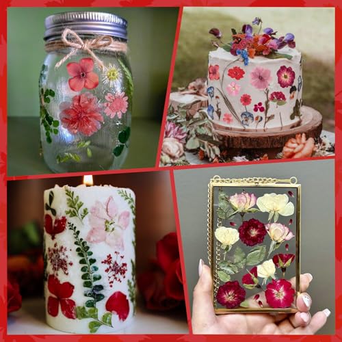 101 PCS Red Dried Pressed Flowers for Christmas Crafts Resin, Red Real Nature Flowers Bulk for DIY Holiday Cake Card Scrapbook Supplies, Large Dried Flowers for Soap Candle Making - size: Red 101pcs