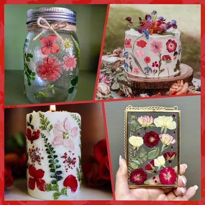 101 PCS Red Dried Pressed Flowers for Christmas Crafts Resin, Red Real Nature Flowers Bulk for DIY Holiday Cake Card Scrapbook Supplies, Large Dried Flowers for Soap Candle Making - size: Red 101pcs