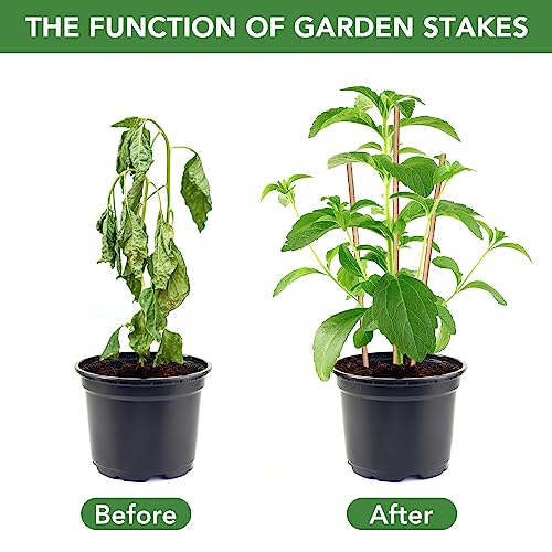 SWANGSA 40 Pack 4 Feet Bamboo Stakes for Plant, Bamboo Sticks Plant Support Garden Stakes Poles with 200pcs Twist Ties for Tomatoes, Beans, Flowers, Potted Plants, Indoor and Outdoor Climbing Plants - size: 4 Feet