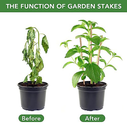 SWANGSA 40 Pack 4 Feet Bamboo Stakes for Plant, Bamboo Sticks Plant Support Garden Stakes Poles with 200pcs Twist Ties for Tomatoes, Beans, Flowers, Potted Plants, Indoor and Outdoor Climbing Plants - size: 4 Feet