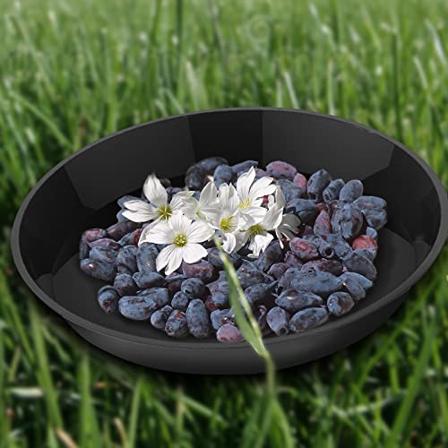 6 Pack Plant Saucer 12 14 16 18 20 22 Inch Plastic Plant Tray, Sturdy and Durable Flower Pot Container Accessories Plant Pot Saucers for Indoor and Outdoor (16 Inch, Black) - size: 16 Inch