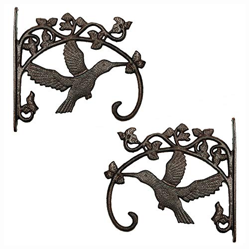 Sungmor Cast Iron Plant Hanger Wall Hooks - Hummingbird & 10.4 inch & 2PC - color: Brown - 2pcs & 10.4 inch