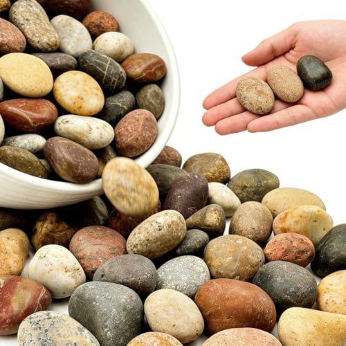 2-3 Inch Mixed Round Pebbles, Smooth River Rocks for Rock Painting, Indoor Plants, Vase Filler, Fish Tank, Aquarium Decor & Garden Landscaping, 18LB - color: 18LB, size: 2-3inch