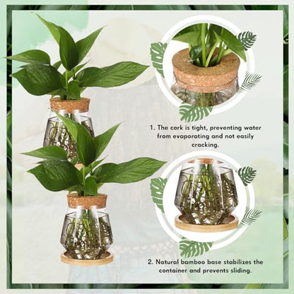 12 Packs Propagation Vases for Plants Plastic Plant Propagation with Hole Lid and Bamboo Stand Growing in Water Hydroponic Home Office Desktop Vase Decoration (Cup Style) - style: Cup Style
