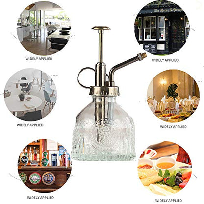 Plant Mister Glass Spray Bottle Small Plant Watering Can 6.4" Tall Retro Indoor Watering Can Bronze Plastic Top Pump for Garden Indoor Plant Sprayer (Transparent) - color: Transparent
