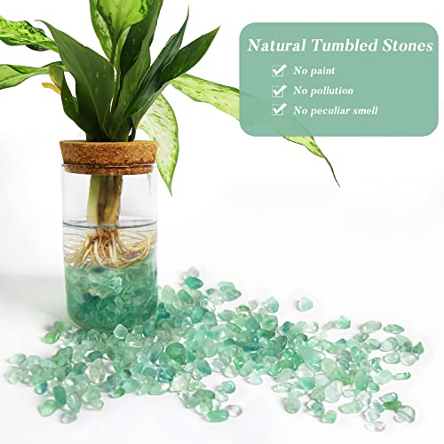 QICQDRAM Polished Gem Stones Rocks Green Flourite Crystals Natural 2LB | Small Tumbled Stones Crystal Chips Bulk for Healing Crystals Fish Tank Gravel Vase Filler (900g/31.74oz) - color: Green Flourite, size: 2LB
