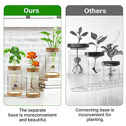 Plant Propagation Stations 3 Pack Plant Terrarium, Propagation Jars Glass Hydroponic Vases for Indoor Plants, Desktop Glass Plant Pot with Lid & Wooden Stand Gardening Gifts for Women Mom Plant Lovers