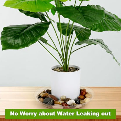 6 Pack 12 Inch Heavy Duty Clear Plastic Plant Saucer Sturdy Pot Tray Plant Drip Trays for pots,Plant Water Catcher Tray,Flower Pot Saucer Water Drainage Tray Floor Protector (12 Inch) - size: 12 inch