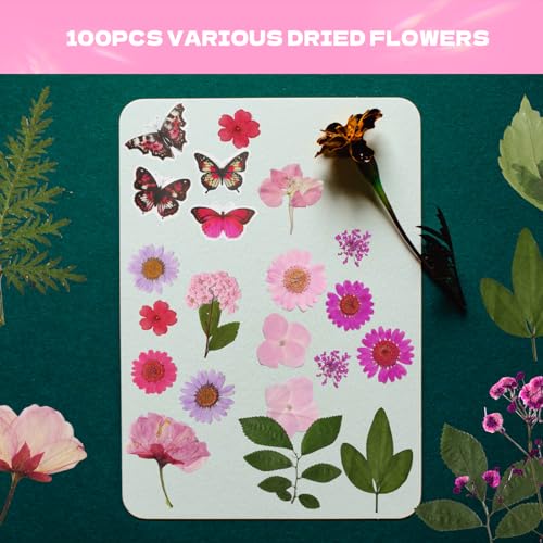 Dried Flowers for Resin 116Pcs Pink Real Natural Pressed Flowers | with 10 Butterfly Stickers, Dried Leaves kit for Scrapbook Supplies Card Making Resin - size: 116 pcs Pink Dried Flowers with Butterfly Stickers