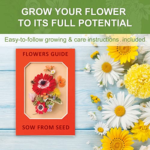 Indoor Daisy Garden Starter Kit with Gardening Tools - Planter Bags, Markers, Soil Disks and Shears, Home Gardening Gifts for Women Men Plant Lovers