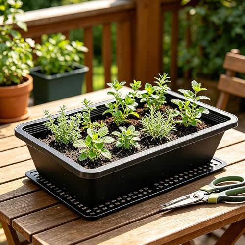 5Pcs/Set Seed Starter Trays, Microgreens Growing Tray with Mesh Bottom for Germination, Hydroponic & Sprouting Plant Trays for Garden, Wheatgrass (Black, 18x13x6.5cm) - color: Black