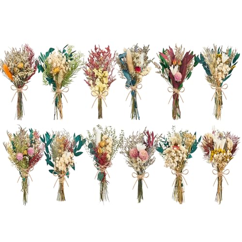 12/24PCS Handmade Dried Flower Bouquet with Stems Natural Dried Wildflowers 7.5 Inch Mini Dry Flowers for Vase Farmhouse Decor, Wedding Styling, Photography Props, Gift DIY(12pcs, Bright) - color: Bright Color