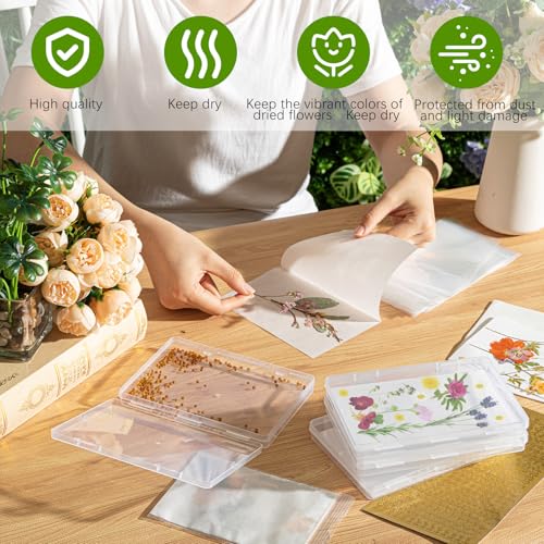 AmazingSpark 218 Pcs 8 Set Dried Flower Storage Kit with 8 Storage Boxes, 100 Blotting Paper, 100 Self Adhesive Bag, 2 Letter Sticker 8 Desiccant Pressing Flower Preservation to Keep Color and Dry