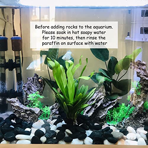 FANTIAN 10 lbs Black Pebbles for Landscaping, 2-3 Inch Rocks for Plants | Polished River Rocks Stone for Plant Indoor, Vase, Aquarium, Garden, Fountain, Outdoor, Planter Filler for Artificial Plants - size: 2-3 inch, style: 10.0 Pounds