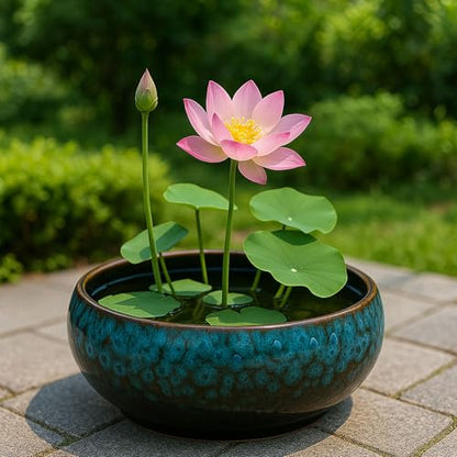 Oncpcare Lotus Bowl Planter – Ceramic Water Plant Pot Sacred Bonsai Bowl Lotus Flower, Shallow Glazed Vase for Lotus Seeds, Bonsai, Succulents, Hydroponic Plants (Blue) - color: Blue-a