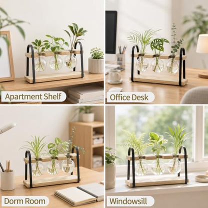 3-Bulb Plant Propagation Station, Glass Vase Terrarium, Retro White - color: White