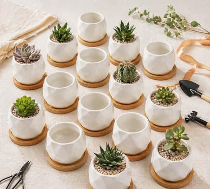 ZOUTOG 12 Pack 2.5" Square Ceramic Succulent Pots with Bamboo Tray | Square Pattern Ceramic Pots suitable for Desks, Windowsills and Shelves to Grow Small Succulents and Cacti - color: White, size: 2.5 inch