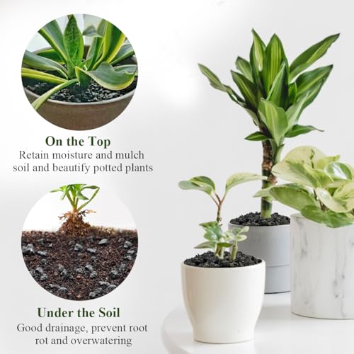FANTIAN 10 lbs Black Lava Rocks for Plants, 5-8 MM Crush Volcanic Rocks | 1/4 Inch Natural Pumice Gravel, Lava Rock for Aquarium, Succulent Cactus, Soil Drainage, Fire Pits, Outdoor Garden - color: Black Lava Rocks