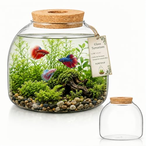 POPETPOP Glass Terrarium with Cork Lid - Glass Fish Tank Plant Terrarium