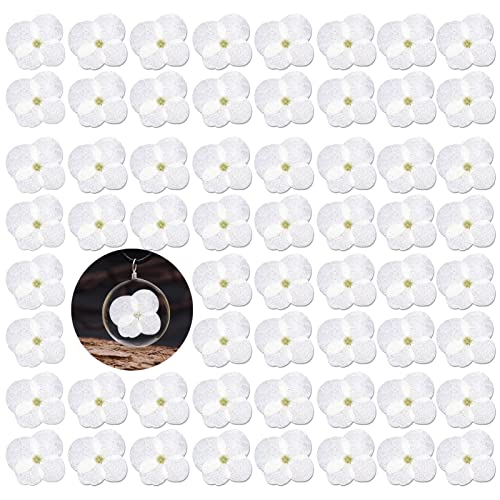 60PCS White Hydrangea Dried Flowers, Real Natural Pressed Flowers for Resin DIY Jewelry Candle Soap Vase Making Card Scrapbook Art Craft Floral Decors - color: Hydrangea Flowers-white