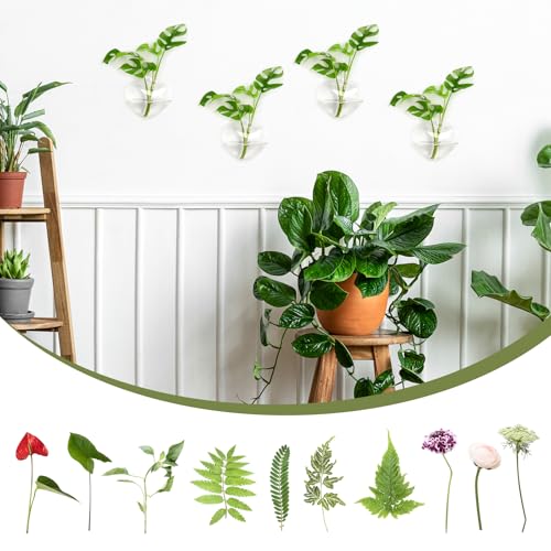 XXXFLOWER Wall Hanging Propagation Station with 5 Glass Test Tubes 3 Tiers+Wall Hanging Glass Terrariums,Heart-Shaped Set of 4