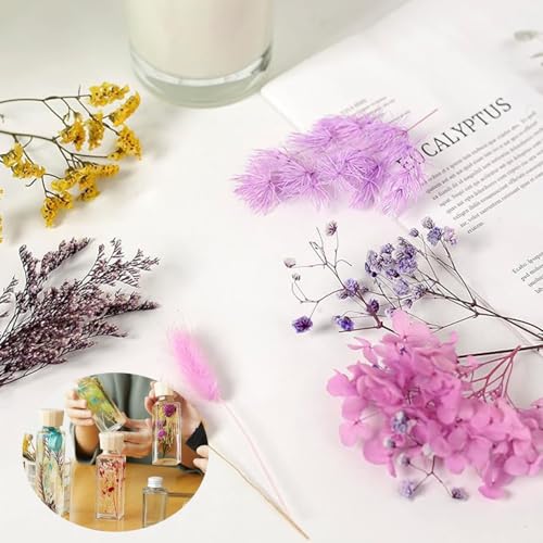Real Dried Flowers Natural Dry Flowers,Mixed Natural Pressed Dried Flowers,Real Dry Florals for Resin Crafts, Candle Making, DIY Art Projectsr (Red 2) - color: Red 2