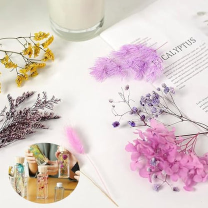 Real Dried Flowers for Resin, Natural Pressed Flowers (White) | Natural mixed dried flower pack with tweezers for DIY resin,crafts& candles. - color: White
