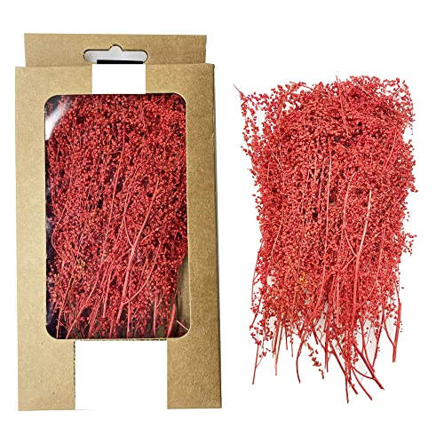 Cayway Static Grass Tuft Model Grass Tufts Railway Artificial Grass Bushy Tuft Flower Cluster Vegetation Groups for Model Train Landscape Railroad Scenery (Styel E) - color: Red