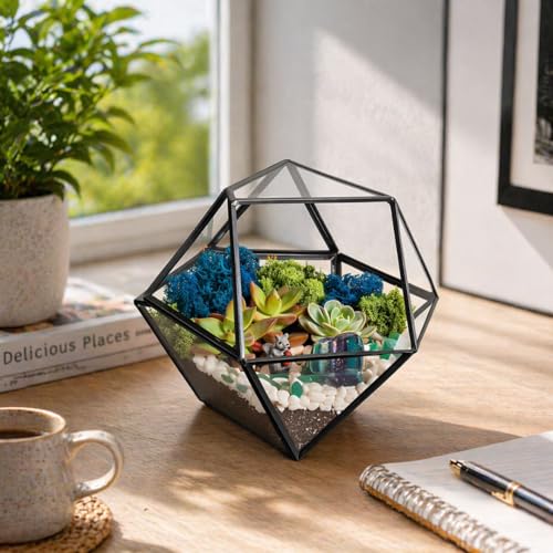 Creations by Nathalie DIY 7" Chalice Glass Terrarium Kit with Moss & Tools | DIY geometric glass terrarium kit with moss, tools, and supplies for creating an indoor terrarium display with your plants. - color: 7” Geometric Dodecahedron