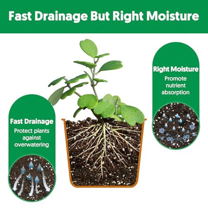 Succulent Cactus Potting Soil Mix (2 qt), All-Purpose Garden Potting Mix for Indoor Outdoor Plants, Quick Drain Houseplant Orchid Bonsai Perlite Soil, Ready-to-Use, Resealable Bag Design - size: 2 qt