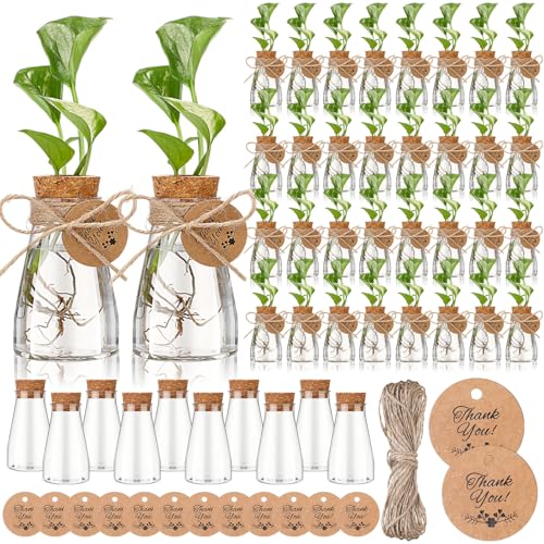 Baderke 24 Pack 3.35'' Plastic Plant Propagation Stations with Hole Lid Planter Vase Clear Propagation Jars with Thank You Tags for Plant Lover Gifts for Women Office Home Garden