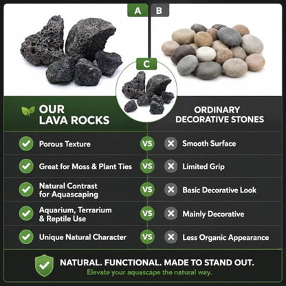 2–3.1 Inches Natural Black Lava Rocks, 4PCS Small Aquarium Rocks for Aquascaping, Fish Tank Decor, Nano Tanks, Terrariums & Reptile Enclosures (Small 2–3.1 in) - size: Small 2–3.1 in