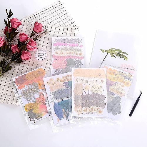 48PCS White Large Real Dried Pressed Flowers Leaves Natural Plant Herbarium for DIY Resin Mold Jewelry Making Craft (12 Styles) - color: White