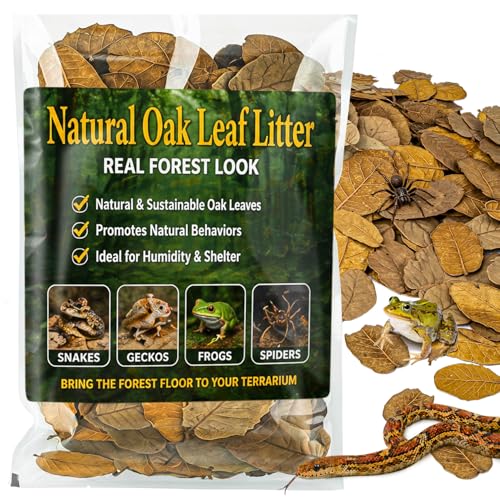 MAQIHAN 7 OZ Dry Oak Leaf Litter - Leaf Litter for Reptiles Oak Leaves for Isopods Live Substrate for Snakes, Frogs, Isopods, Terrarium Bedding | Whole Natural Oak Leaves for Terrarium, Forest Floor Habitat, Premium Enclosure Bedding for Snake, Frog, Geck
