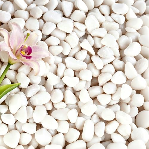 20 lbs White Gravel, 1/2 Inch Small River Rocks | Polished Succulent Stones,Decorative Rocks for Potted Plants,Suitable for Vases, Cactus Potted Plants, Fish Tanks - color: White, size: 1/2 Inch 20 LB