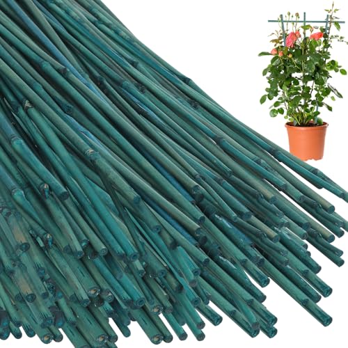 Suclain 50 Pcs 4 Feet Bamboo Stakes for Plant Support Bamboo Sticks Poles Indoor and Outdoor Tall Garden Stakes with 100pcs Twist Ties for Tomato Bean Flowers Trees Potted and Climbing Plant Support - size: 4 Feet