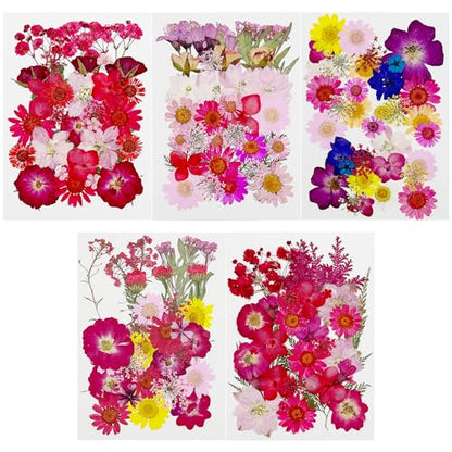 Cayway 170 PCS Dried Pressed Flower, Pressed Flowers and Leaves for Resin, Real Nature Pressing Floral Leaves for DIY Craft, Jewelry Making, Candle Scrapbooking Supplies, Red - color: 170pcs-red