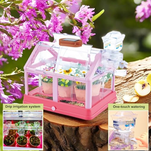 EXBEPE Kids Plant Growing Kit Greenhouse Growing Set Terrarium Kit Kids Science Educational DIY Plant Gardening Toy, Living Greenhouse with Solar Panel, Indoor Gardening Kit