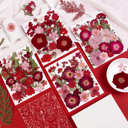 101 PCS Red Dried Pressed Flowers for Christmas Crafts Resin, Red Real Nature Flowers Bulk for DIY Holiday Cake Card Scrapbook Supplies, Large Dried Flowers for Soap Candle Making - size: Red 101pcs