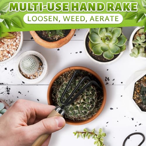 3 Pcs Mini Garden Tools, Shovel, Rake, Wooden Handles, Steel Heads | Small Gardening Tools Set, Tiny Trowel for Transplanting, Repotting and Planting, for Indoor Plants, Succulents and Bonsai - color: Black Set of 3